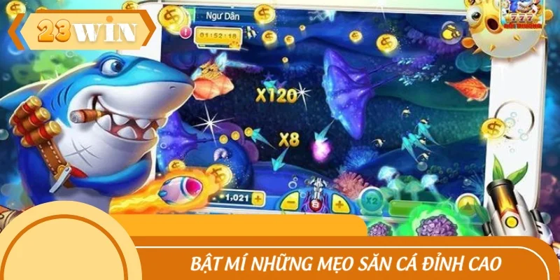 Bật mí những mẹo săn cá đỉnh cao, hạ gục mọi mục tiêu