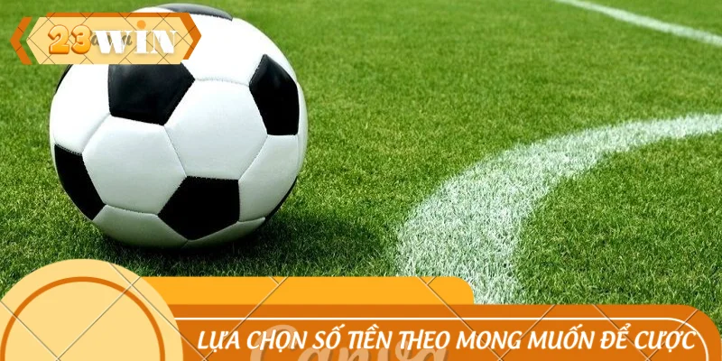 Lựa chọn số tiền theo mong muốn để cược
