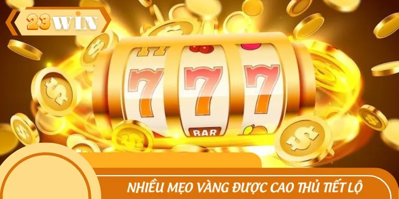 Nhiều mẹo vàng được cao thủ tiết lộ cho newbie