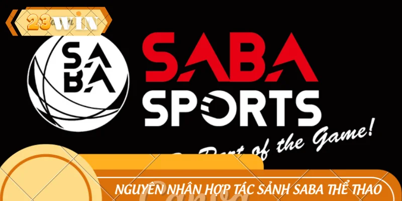 Nguyên nhân có sự hợp tác tạo nên sảnh game Saba thể thao